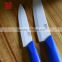 China Professional Colourful Top Quality Durable Lasting Cut Knives