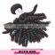 Full Cuticle One Donor Unprocessed Fast Delivery Virgin Hair Bohemian Remy Human Hair Extension