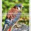 fashion show lighting poster board snap frame