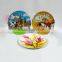 Melamine Plate With Printing(Food Touch Safety)