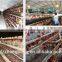 Trade Assurance 4 tiers 120 birds supplier design chicken egg layer cages for sale