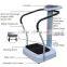 New Slim Full Body Vibration Platform Crazy Fit Massage Fitness Machine YD-6823