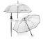 plastic umbrellas transparent