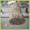 Garden Decoration of Little Bambu Cane, Bambu Plants, Bambu Cane for Support Plants 3' X 10/12mm