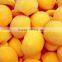 IQF yellow peach halve