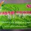 Wasabi Powder