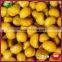 2015 New Organic Frozen Peeled Roasted Chestnut Nuts Kernels