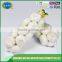 10kg carton natural garlic