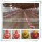Environmental Control Poultry House Automatic Farm Machinery Equipment Broiler Feeding System For Breeding Chickens