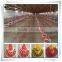 Commercial Chicken Houses Farm Machinery Equipment Agricultural For Breeding Poultry Broiler Birds