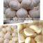 Neweek automatic no damage dry garlic skin removing machine