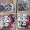 49cc bicycle engine kit /bicicleta motorizada/ bike frame/gas scrooter