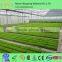 low cost plastic greenhouse from china polyethylene film greenhouse vegetable greenhouses