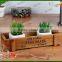 decoration wooden plant box ,display wooden plant holder