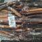 Frozen illex squid whole round