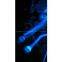 LED Fluorescence Illuminator MF-LED