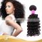 Diamond Virgin Hair for Sexy Girl, 10''-32'' Top Sell Curly Hair Brazilian Unprocessed Human Hair