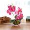 Creative Decoration Artificial Plants 3 Branches Silk Orchid Pot