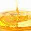 New Stainless steel Honey Processing Machine for bee farmers