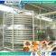 IQF frozen mango spiral conveyor freezing machine spiral blast freezer