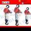 DLH Series Electric Chain Hoist