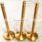 Gold  intake exhaust engine valve