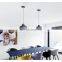 Nordic design Industrial aluminum suspension ceiling pendant lamp