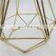 Tonghua Vintage Iron Electroplate Gold Cage Lamp Shade for Retro Edison/LED Bulb Used indoor Decoration Light