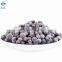 Berries Fruit IQF Frozen Blackcurrant