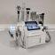 Cryolipolisis Machine Portable 2022 Cryolipolisis Multi Machine Portable