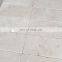 Natural Stones Premium Fossil Limestone Pavers and Tiles  Polished and Honed cut to size Made in Turkey Factory CEM-P-62-12