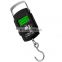Byloo  Mini Digital Scale for Fishing Luggage Travel Weighting Steelyard Hanging Electronic Hook Scale 1 buyer