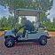 Single row 2-seater electric golf cart