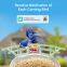 Ringsee solar-powered bird feeder smart wifi outdoor bird feeder 3MP bird feeder with camera