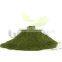 Food Supplement WheatGrass Powder Sellers