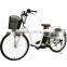 Cheap Chinese Adult Mini Elektro Bike