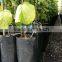 Garden large pe planting bag outdoor Tree growing bag