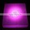 cheap portable plastic Battery charging Remote Control led Dance Floor