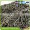 High Swelling Sublimated Thermal Dried Kelp/Laminaria/Kombu Seaweed to Russia