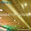 3W 5W 7W 9W 12W 15W 18W 20W led ceiling down light for home office school hospital etc