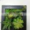 HOT Virbrat Natural Touch Plant Gift Succulent Frame Succulent Plants for wholesale