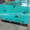 small water cooled diesel generator powered by yangdong engine