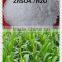 Factory direct supply Agriculture Zinc Sulphate Fertilizer