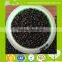 Plastic Granular Black Masterbatch