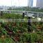 JR-B007 High Quality Factory Price stand alone solar garden light