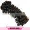 Wholesale brazilian human hair,Low price ture length remy 100 human hair