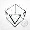 10*10*10cm geometric cube glass terrarium transparent flower arrangement air plant planter greenhouse home decoration 0100003