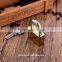 High polished Brass padlock/padlocks/Door locks/cabinet locks Rigid plastic package