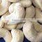 Best Cashew Price in India