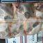 Price for Stingray Seafood Frozen Fish for Canning